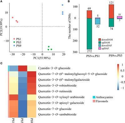 Integrated metabolic, transcriptomic and chromatin accessibility analyses provide novel insights into the competition for anthocyanins and flavonols biosynthesis during fruit ripening in red apple
